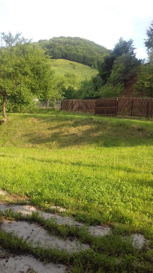 Cabana Fagilor Somesu Cald Dış mekan fotoğraf